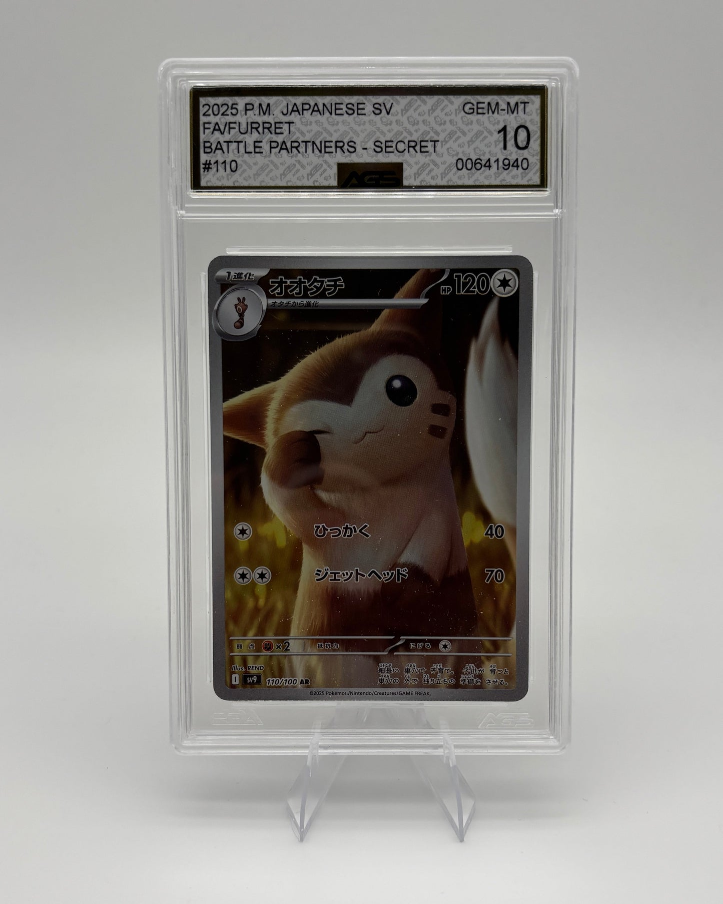 AGS 10 FURRET