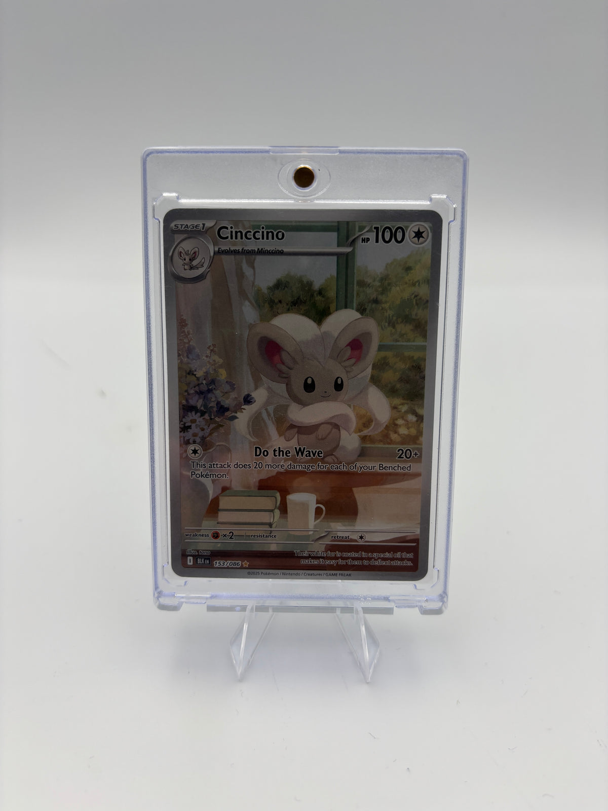 CINCCINO