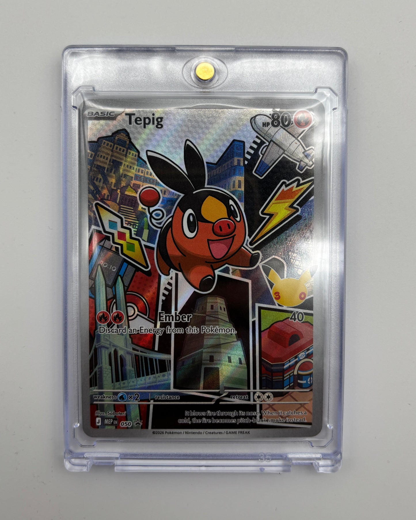 TEPIG