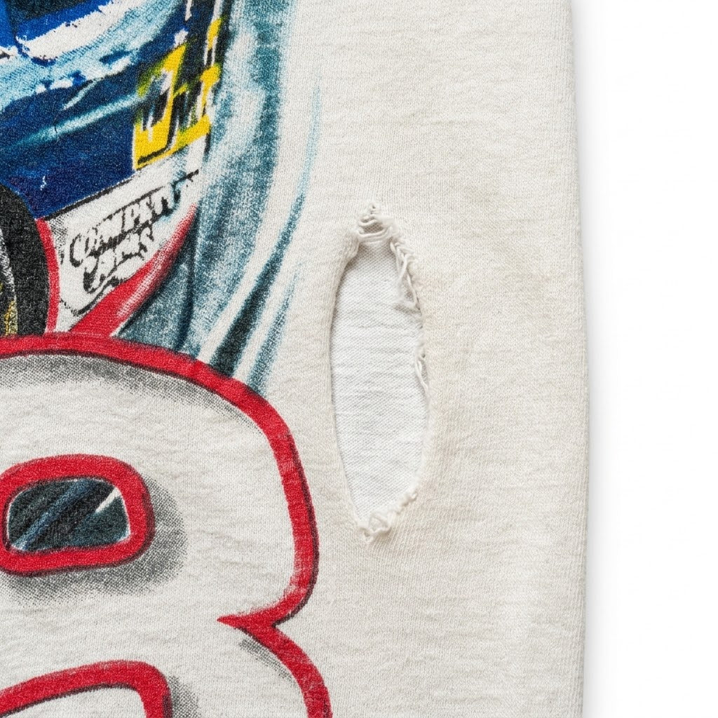 DALE EARNHARDT JR. AOP TEE (M)